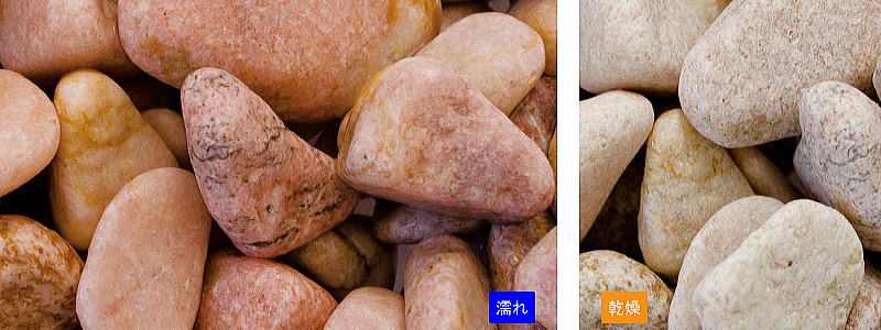 �������� �������� 15kg���ޡ��ޥĥ�Ȼ���