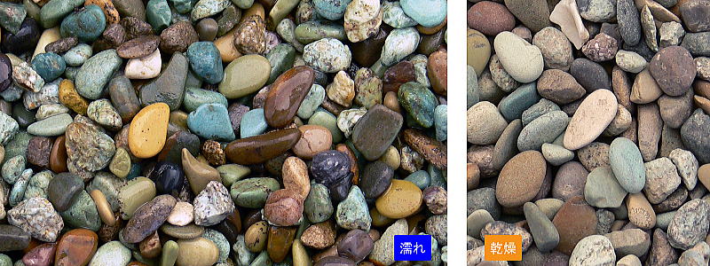 �ĳ��ʤ��������� ��ޥ�ŷ������ 20kg���ޡ��ޥĥ�Ȼ���