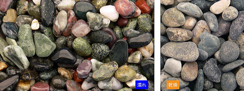 ������ ��ޥ�ŷ������ 20kg���ޡ��ޥĥ�Ȼ��ȡ����߸˸¤�