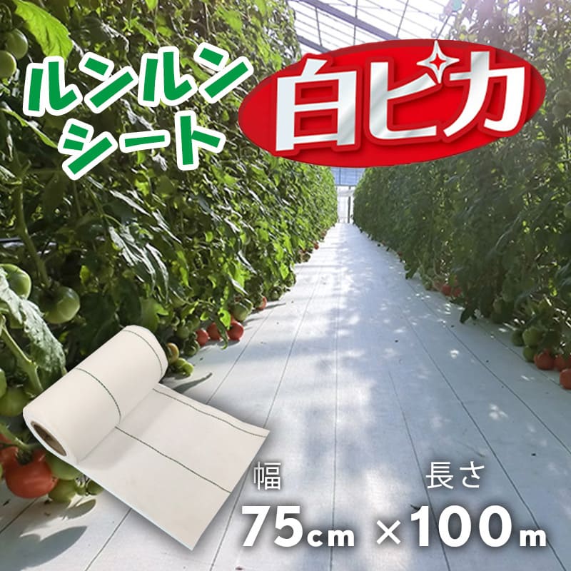 防草シート ルンルンシート白ピカ 75cm×100m／巻 白 雑草 芝生 DIY 草 庭 雑草シート 小泉製麻株式会社..