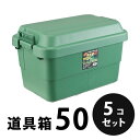 プラスチック 道具箱50 グリーン 5個/梱包 トランクカーゴ コンテナ 大工 リス興業