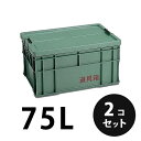 プラスチック 道具箱75L グリーン 2個/梱包 トランクカーゴ コンテナ 大工 リス興業