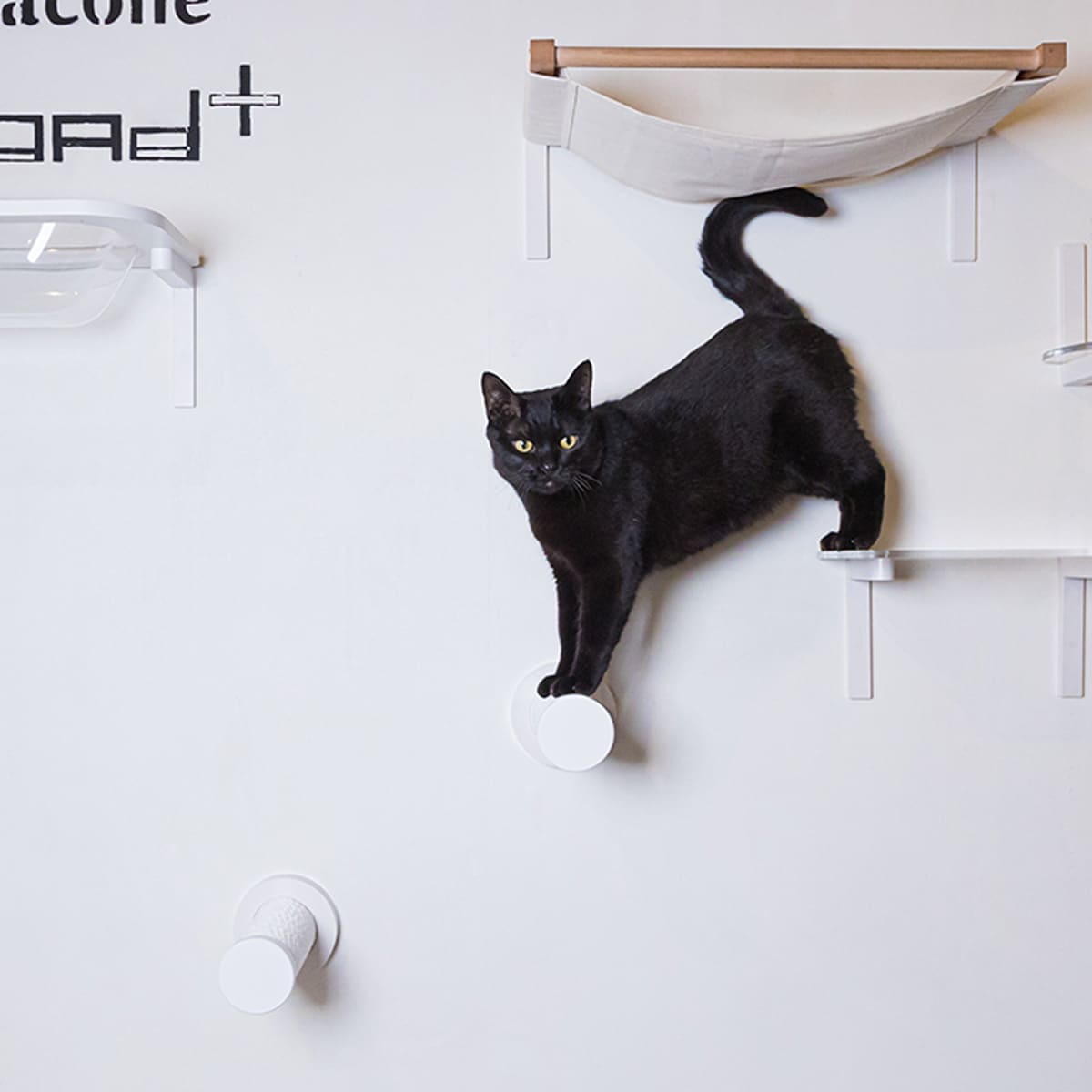 キャットスティック【メーカー直送・】