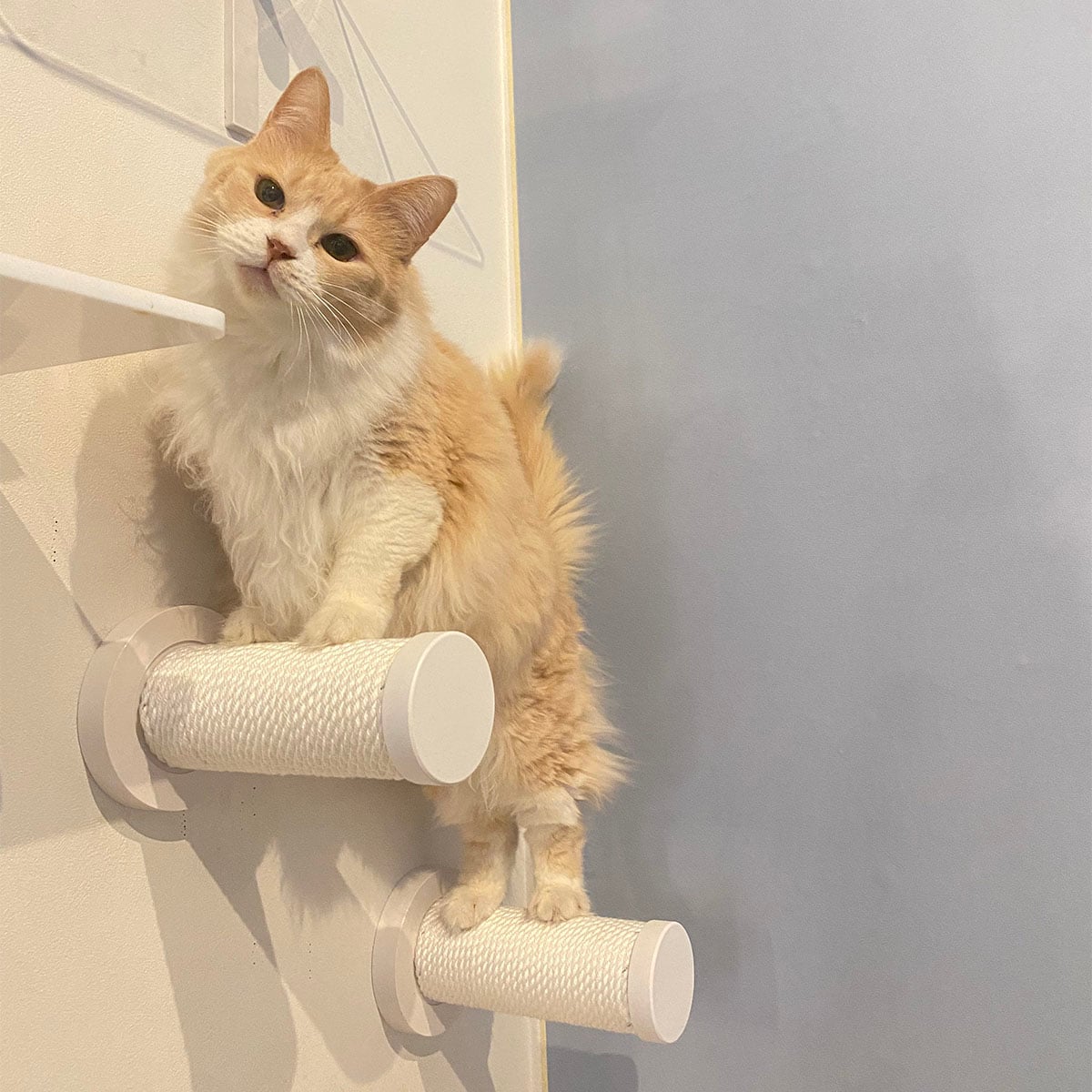 キャットスティック【メーカー直送・】