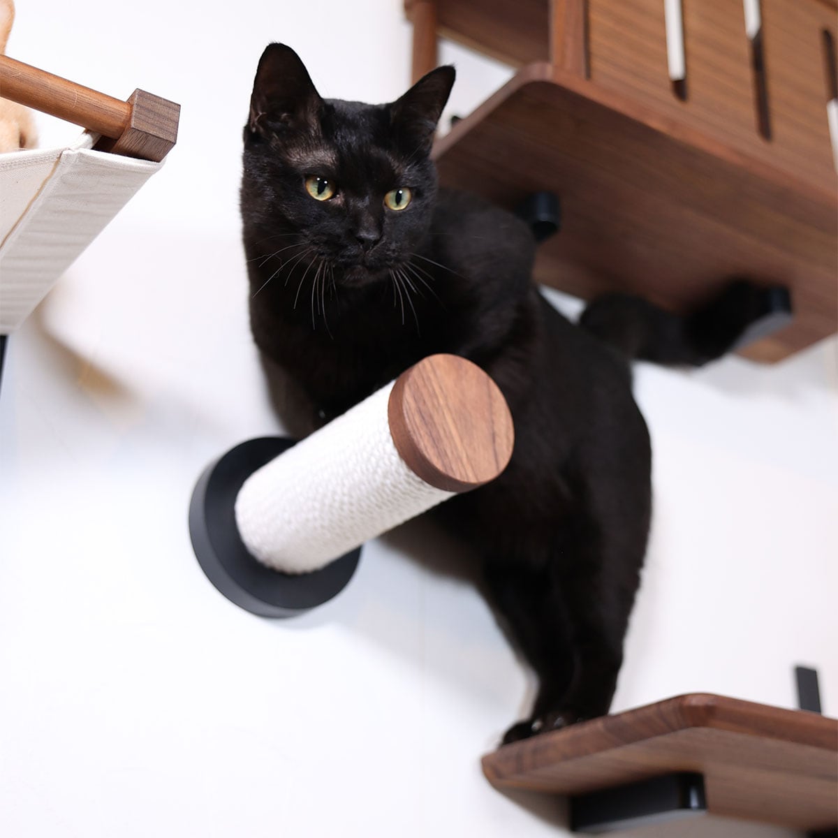 WNキャットスティック(つめみがきステップ)【メーカー直送・】