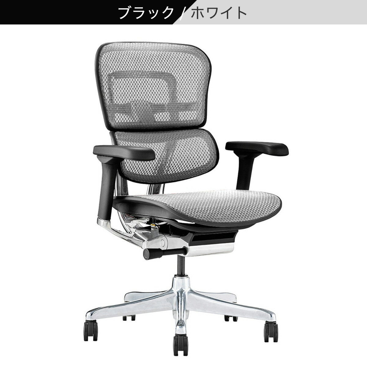 ワークチェア(エルゴヒューマン EHP2 LAMDR)　 【配送員設置商品】