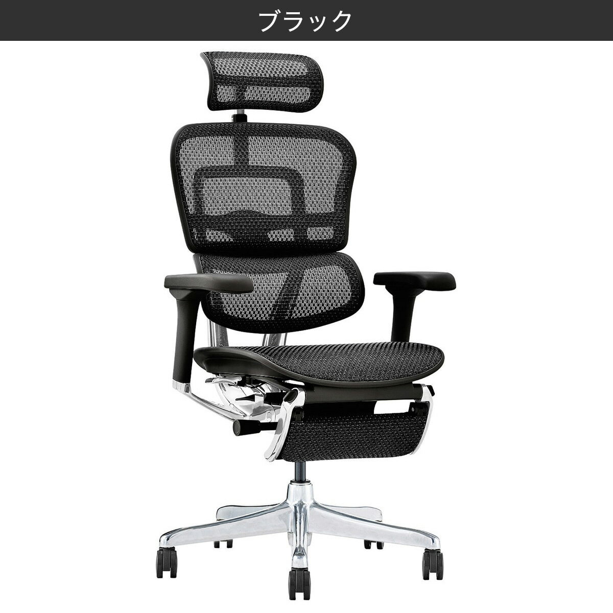 ワークチェア(エルゴヒューマン EHP2 LPLDR)　 【配送員設置商品】