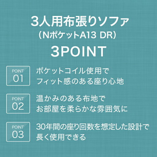 [幅185cm]ソファ 3人用ソファ 布張りソファ 3人掛け 3人用布張りソファ(NポケットA13 DR) ポケットコイル 布 ファブリック グレー ブルー レッド ベージュ グリーンソファー 3人掛けソファ 肘掛け  【配送員設置】 【5年/30年保証】