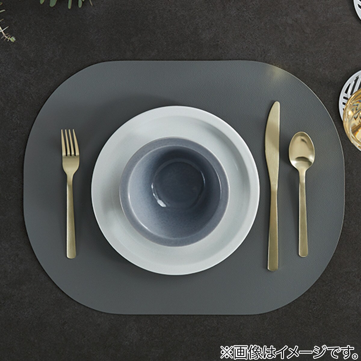 PVCランチョンマット(CAU DGY NA25)