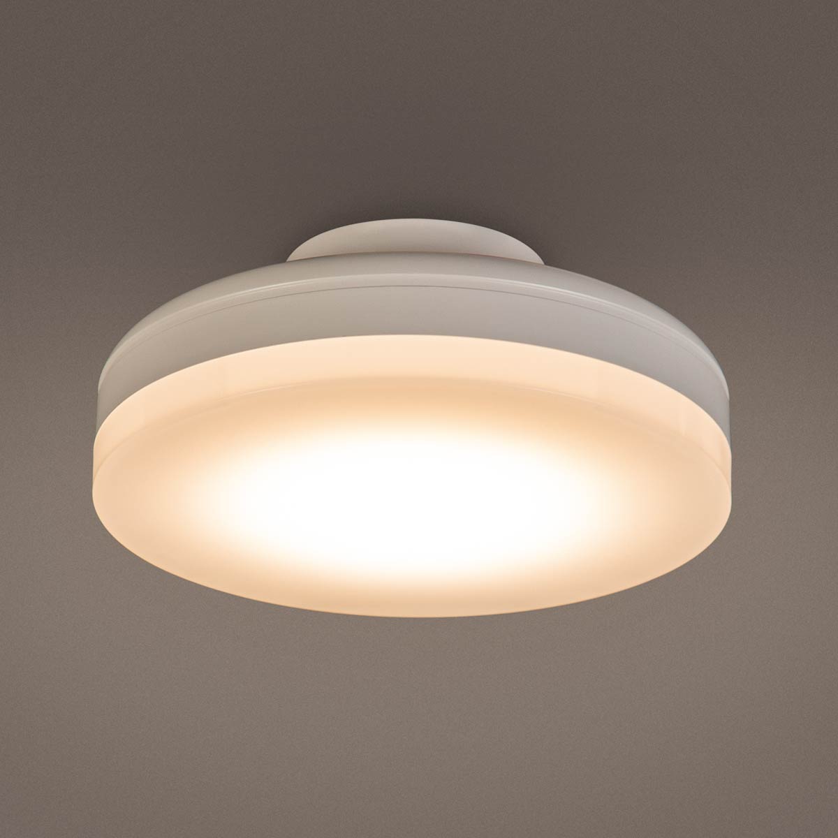 LEDミニシーリングライト (60L)