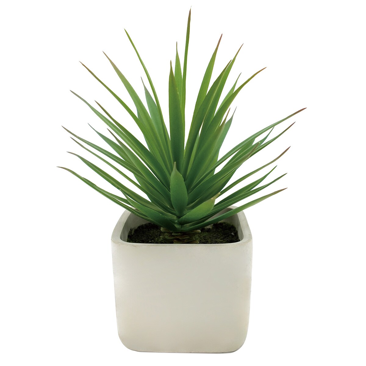 消臭剤配合グリーン ソードグラス(HA01)　ニトリ 【玄関先迄納品】