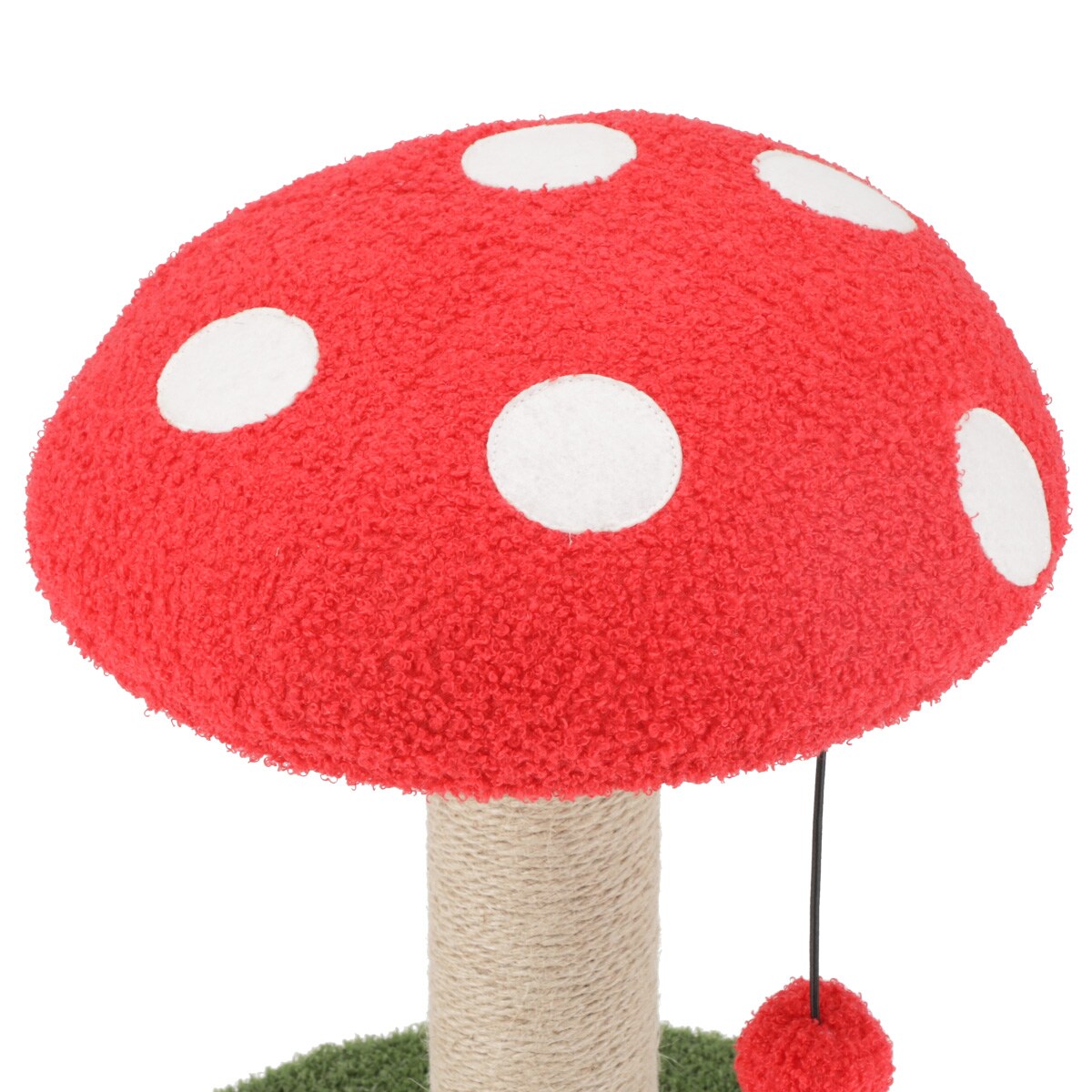 爪とぎ(きのこ)