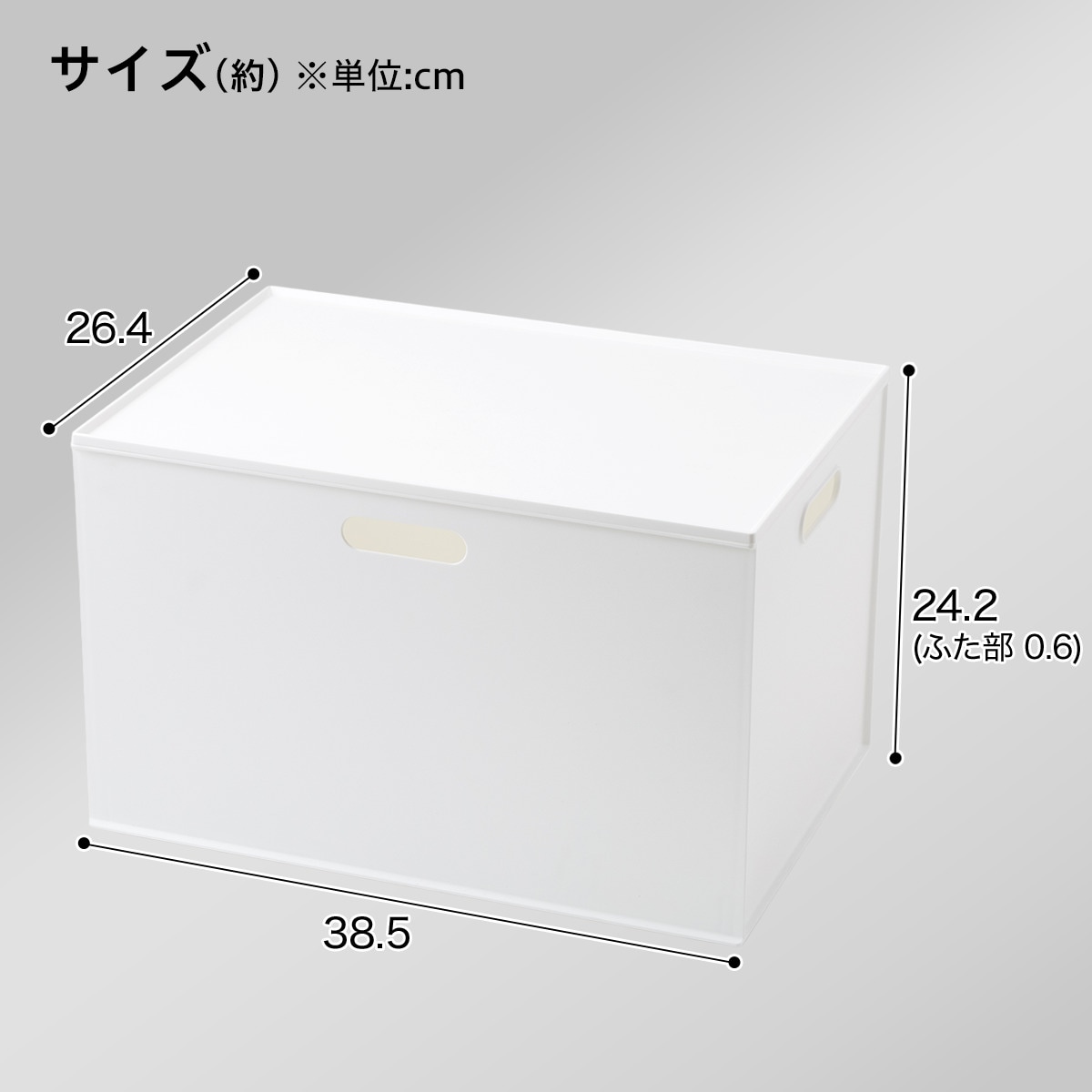 【ふた付きセット】バスケット Nインボックス レギュラー ホワイト　ふた付き
