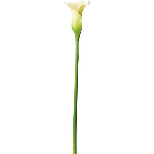 ニトリ の造花おすすめ5選 大きなアートフラワーやアレンジメントも Jouer ジュエ