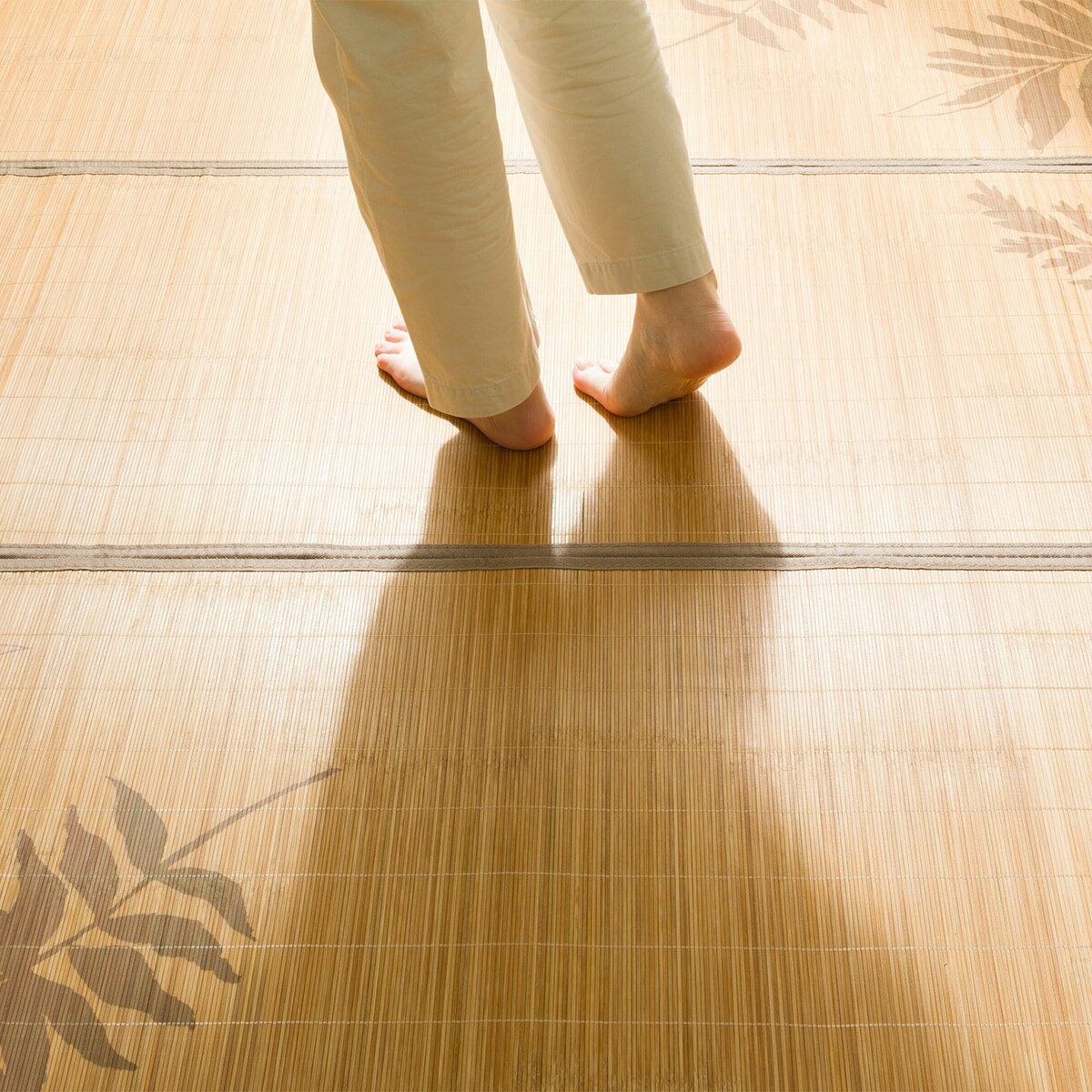 接触冷感 竹ラグ(dpr BR g)