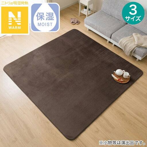 ニトリの洗える!10mmウレタン入り吸湿発熱+蓄熱+保湿ラグ (Nウォーム ダークモカ gDA6) デコホーム(ラグ・マット)