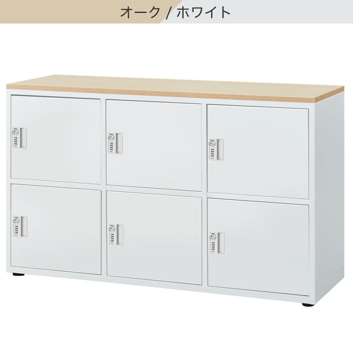 スチール書庫(ロッカータイプ NT6D)　 【配送員設置商品】