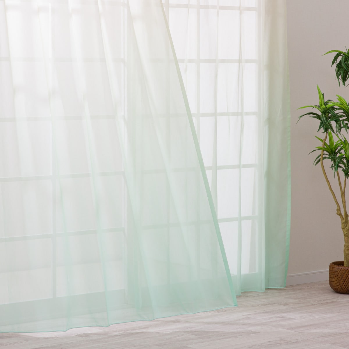 ニトリの【SNS映え】色鮮やかなグラデーションレースカーテン　182サイズ(NTW10612 もえぎ)【メーカー直送・】(カーテン・レース)