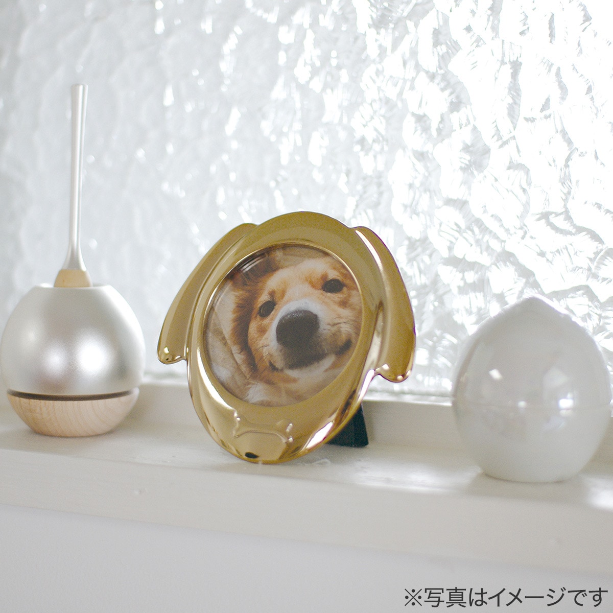 フォトフレーム(ドッグGD)