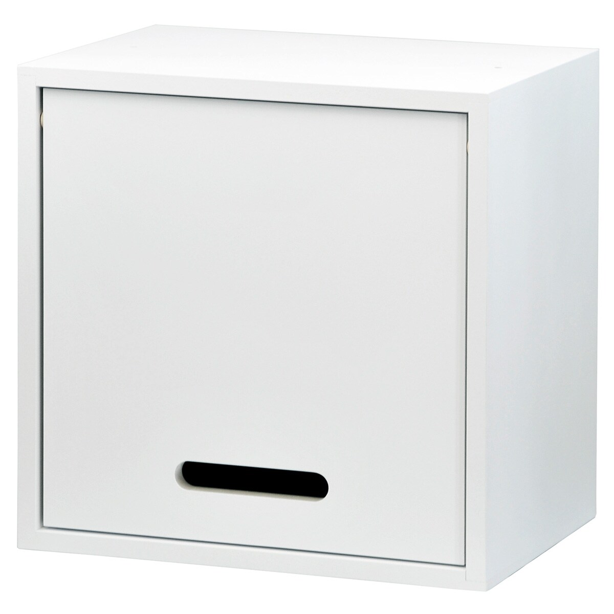 同人誌ラック(扉付きタイプ)　　メーカー直送・ 【創業祭期間限定価格：1/5まで】