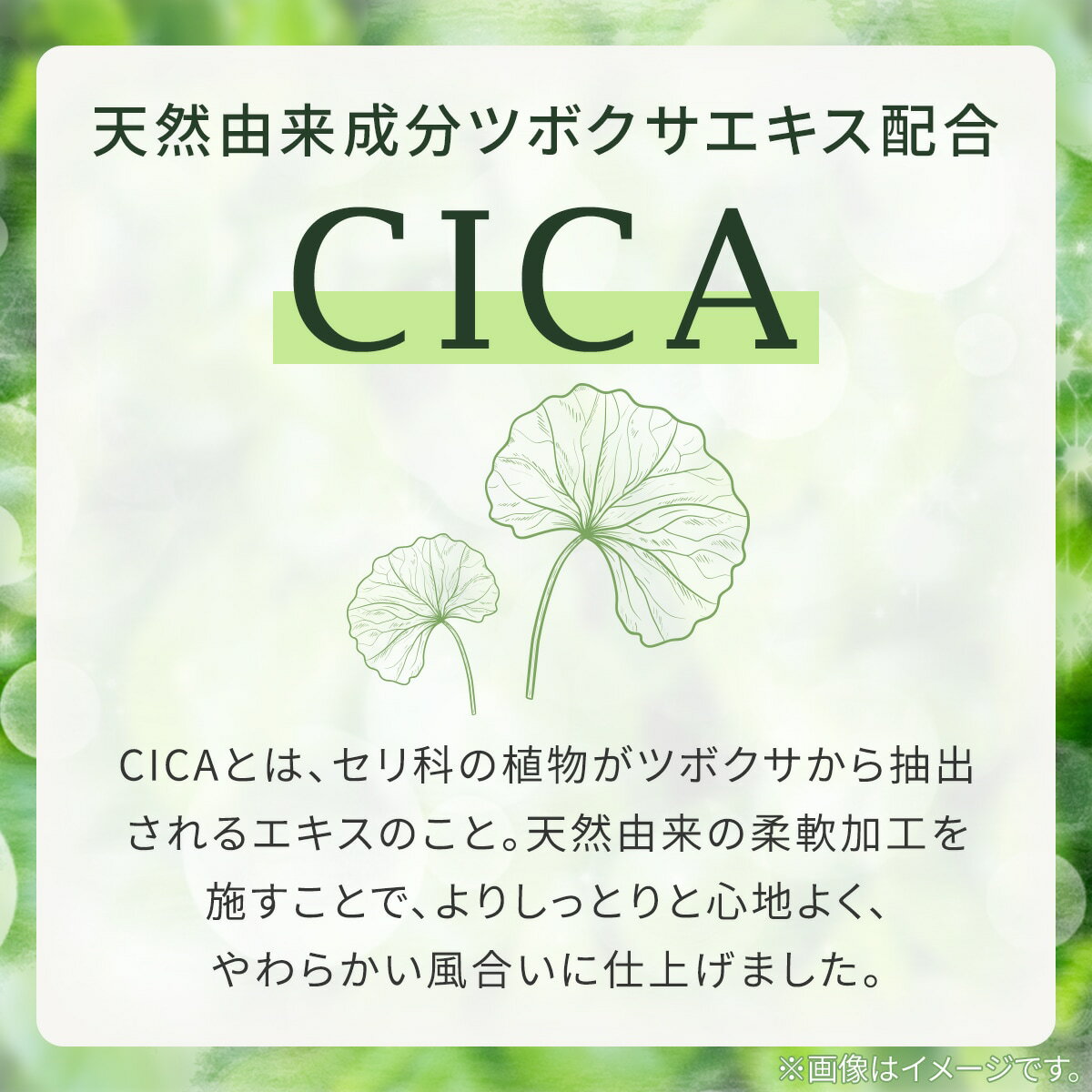 掛ふとんカバー(CICA AW2544)  デコホーム