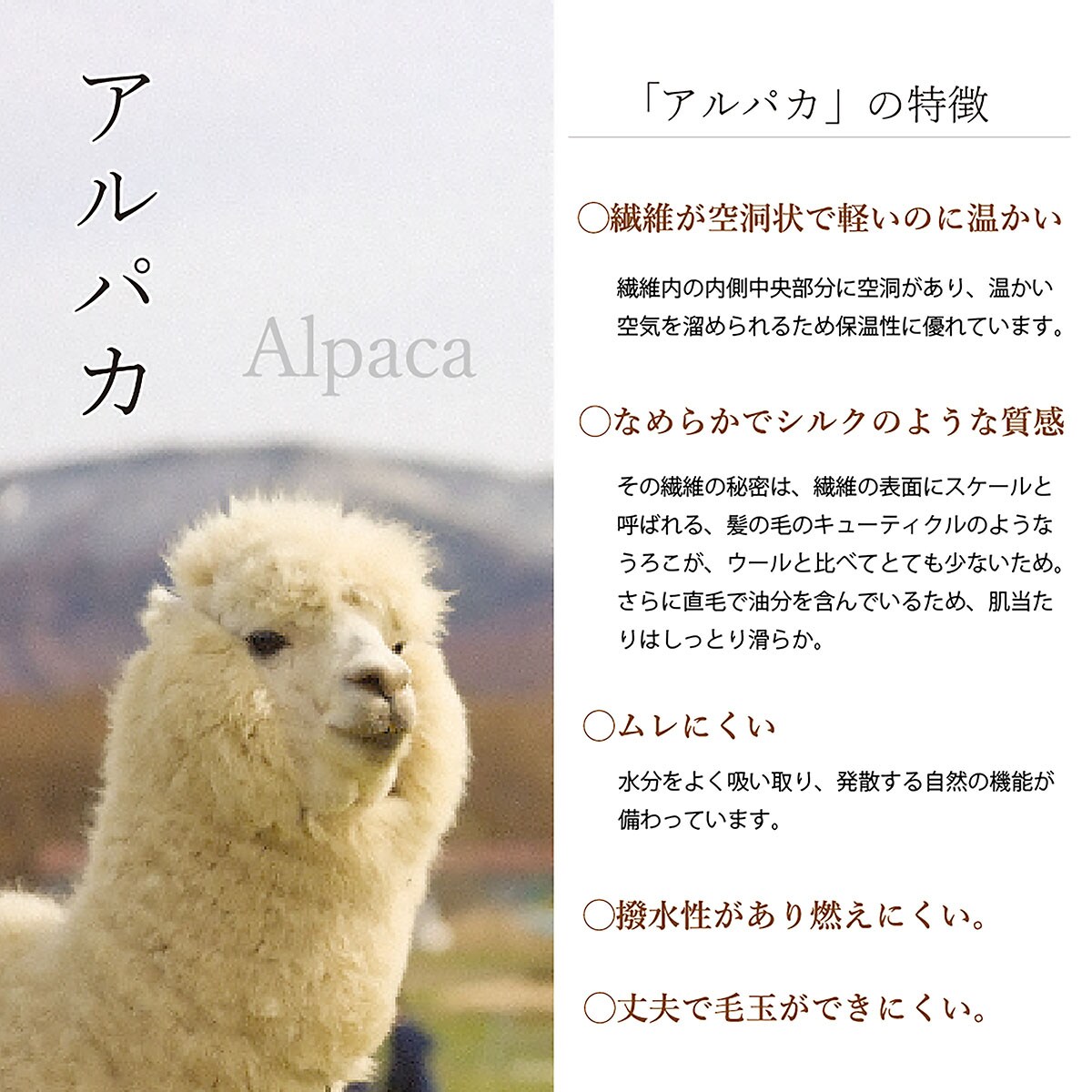 アルパカ毛布 シングル (BE)【メーカー直送・】