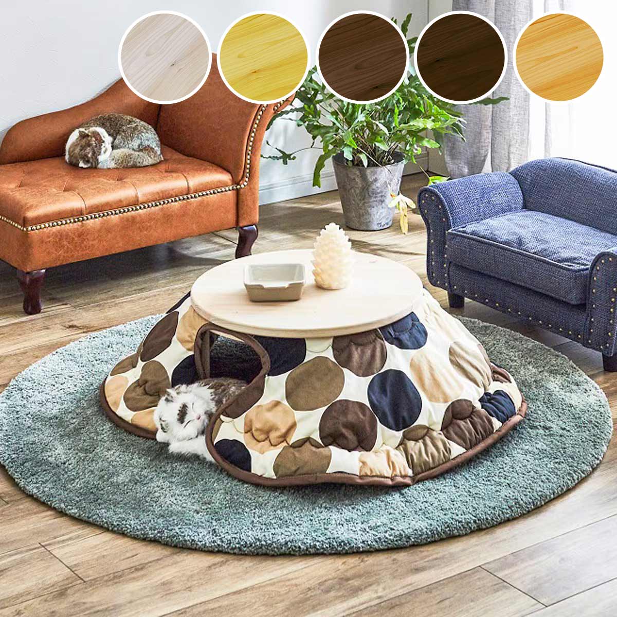 񻺥ҥΥѤҡʤͥ󤳤 ˥ȥꡡ᡼ľ̵