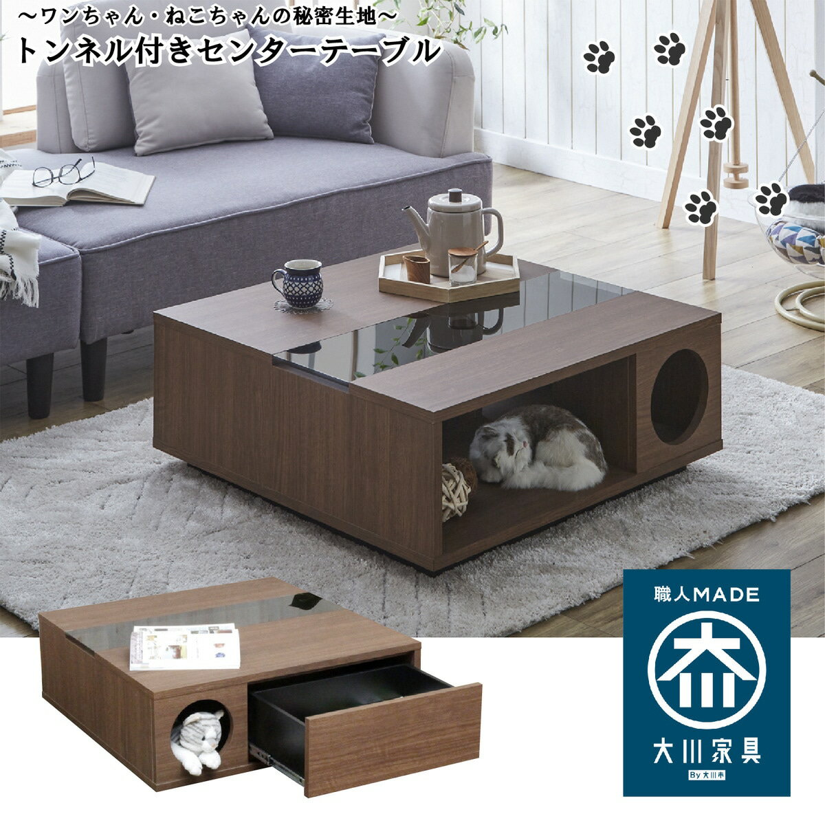 わんちゃん・ネコちゃんの秘密基地引出し付きセンターテーブル