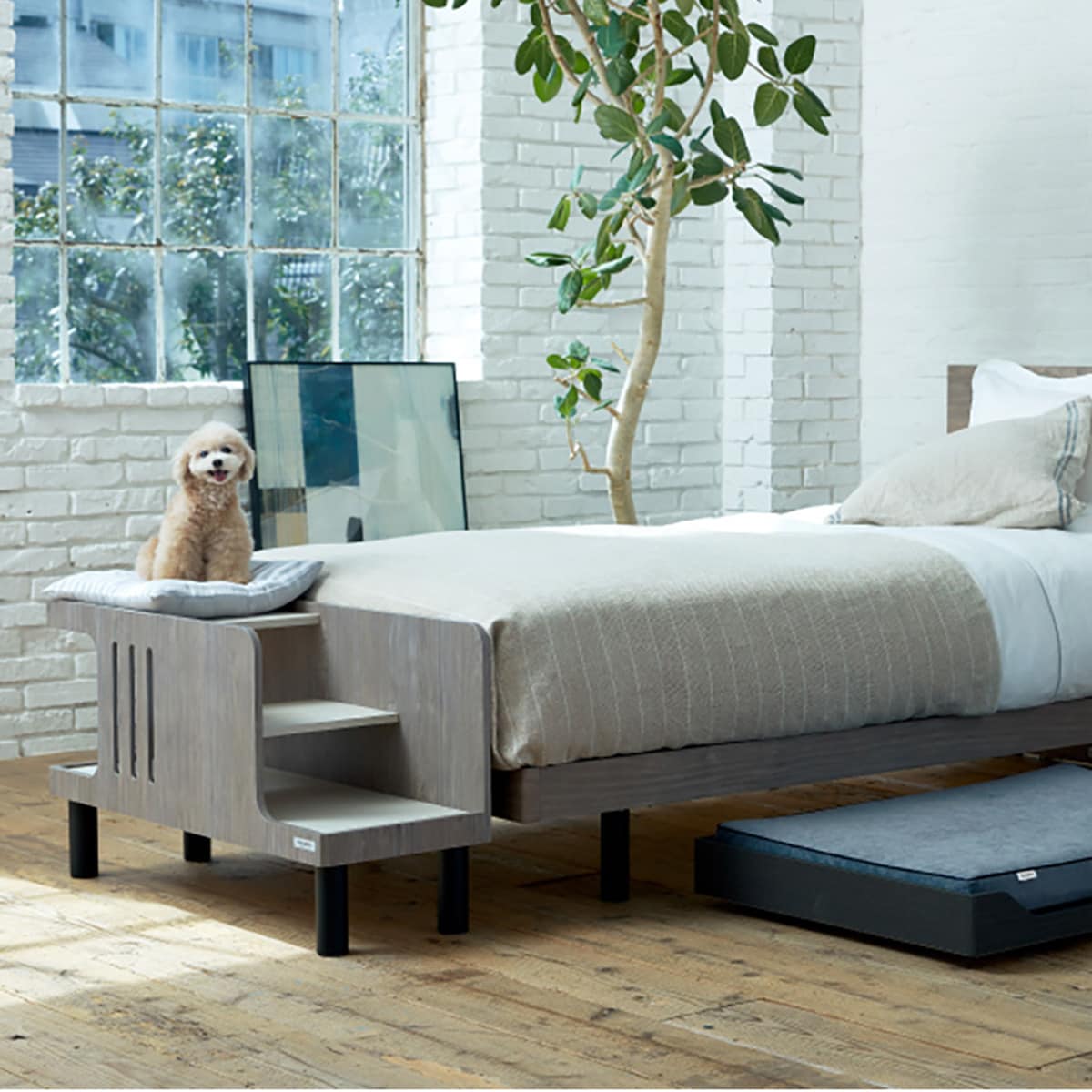 フランスペット　ペットステップベンチ  【配送員設置商品】 【5年保証】