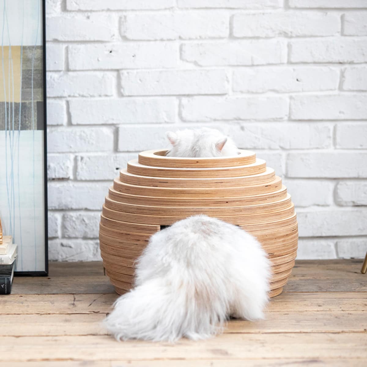 フランスペット　 ネコハウス (マリ)  【配送員設置商品】 【5年保証】