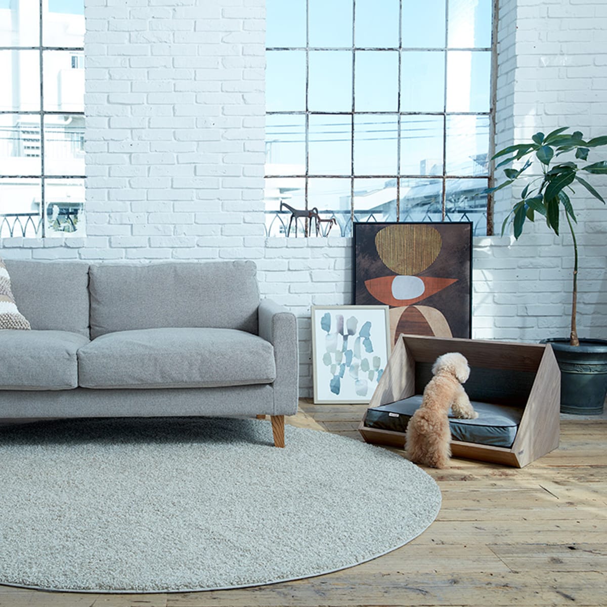 フランスペット ペットハウス ステージイン