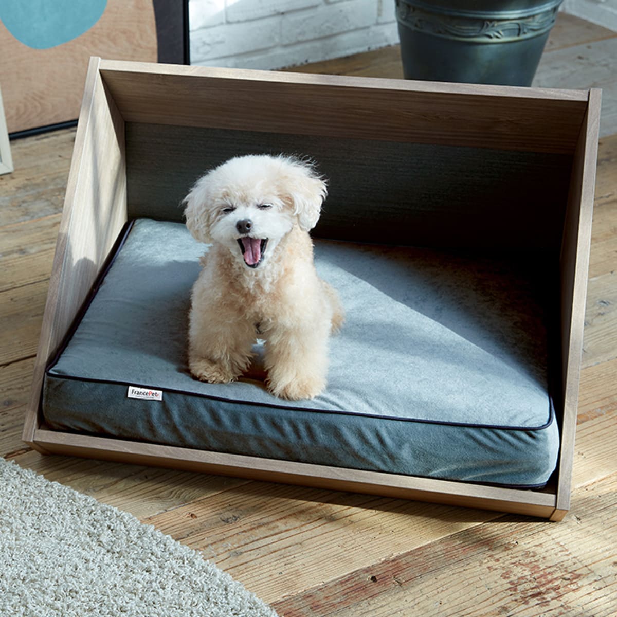 フランスペット ペットハウス ステージイン