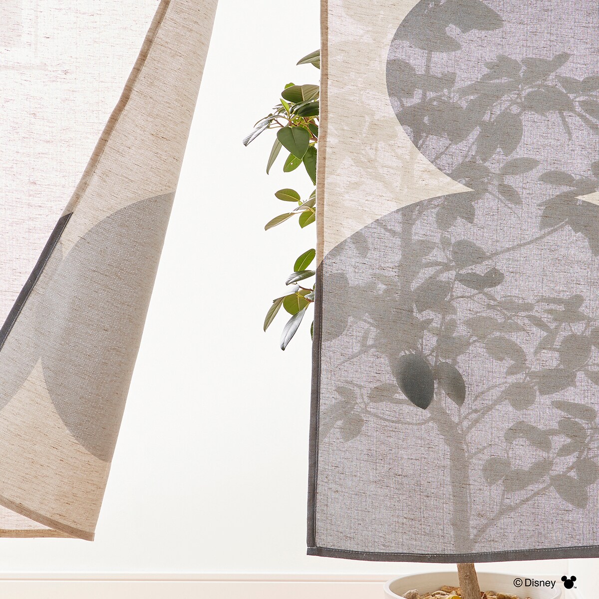 ミッキーマウス のれん 韓国風