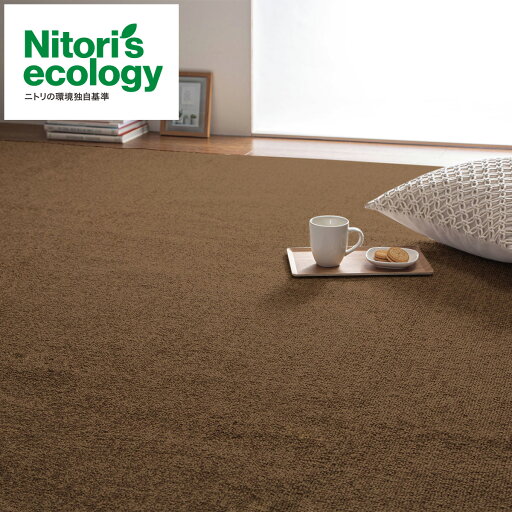 ニトリの防音・防炎・抗菌防臭・防ダニカーペット(Nオーネスト BR 10J)   【1年保証】(ラグ・マット)