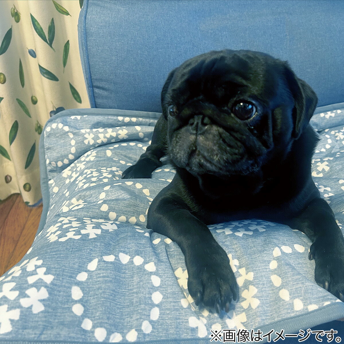 ペット敷パッド (Nクール S251)