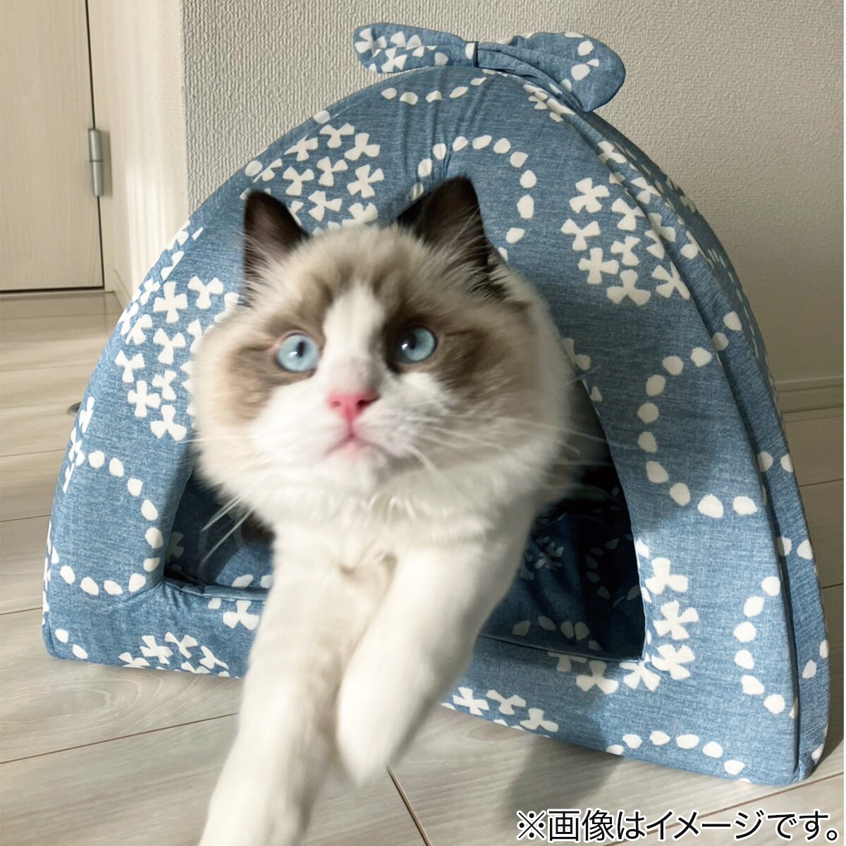 ペットドーム (Nクール S251)