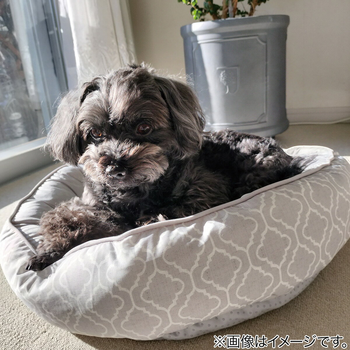 ペットベッド (NクールWSP マル S254)