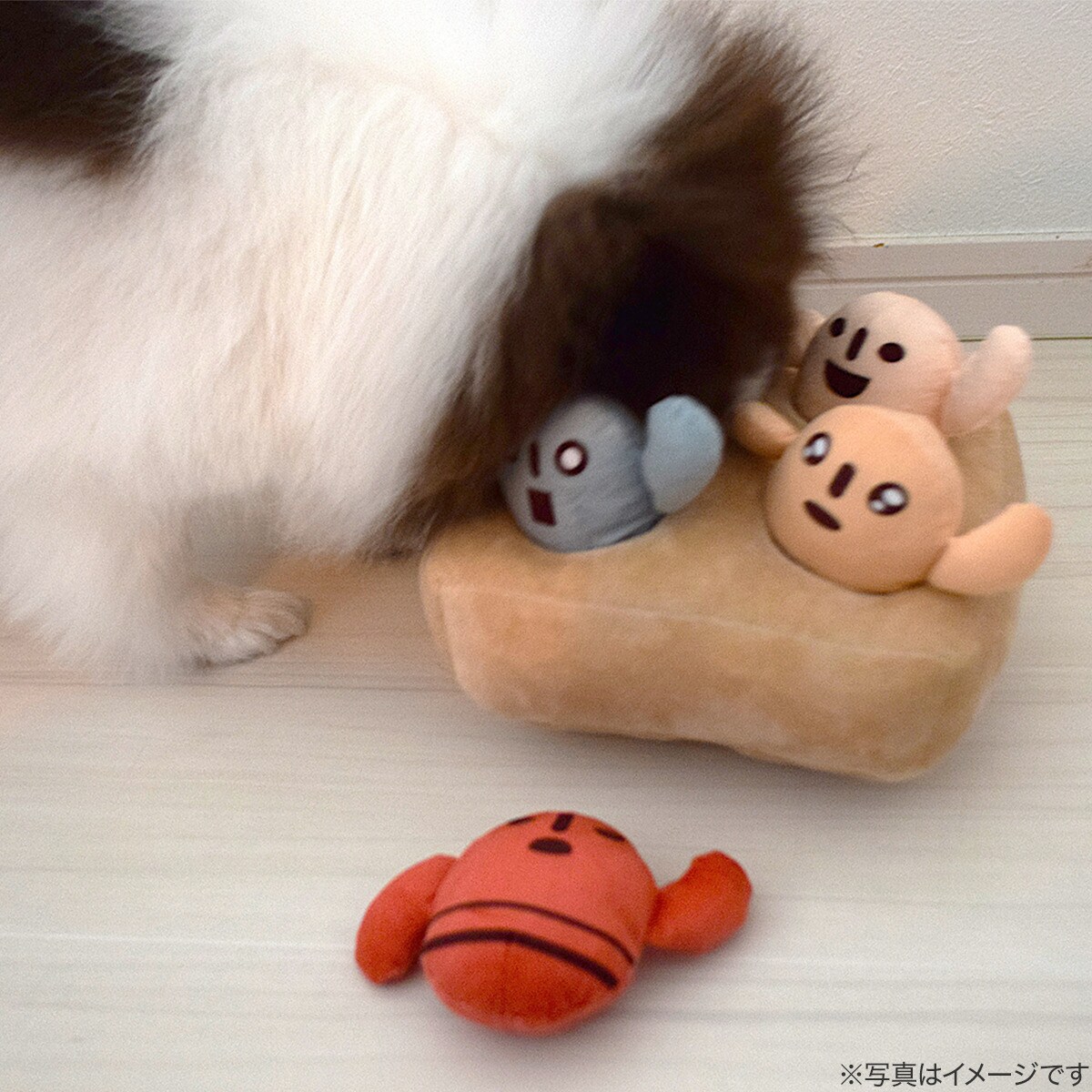 ノーズワーク(ハニワ)