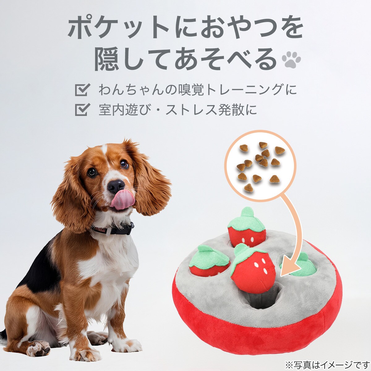 ノーズワーク(イチゴ)