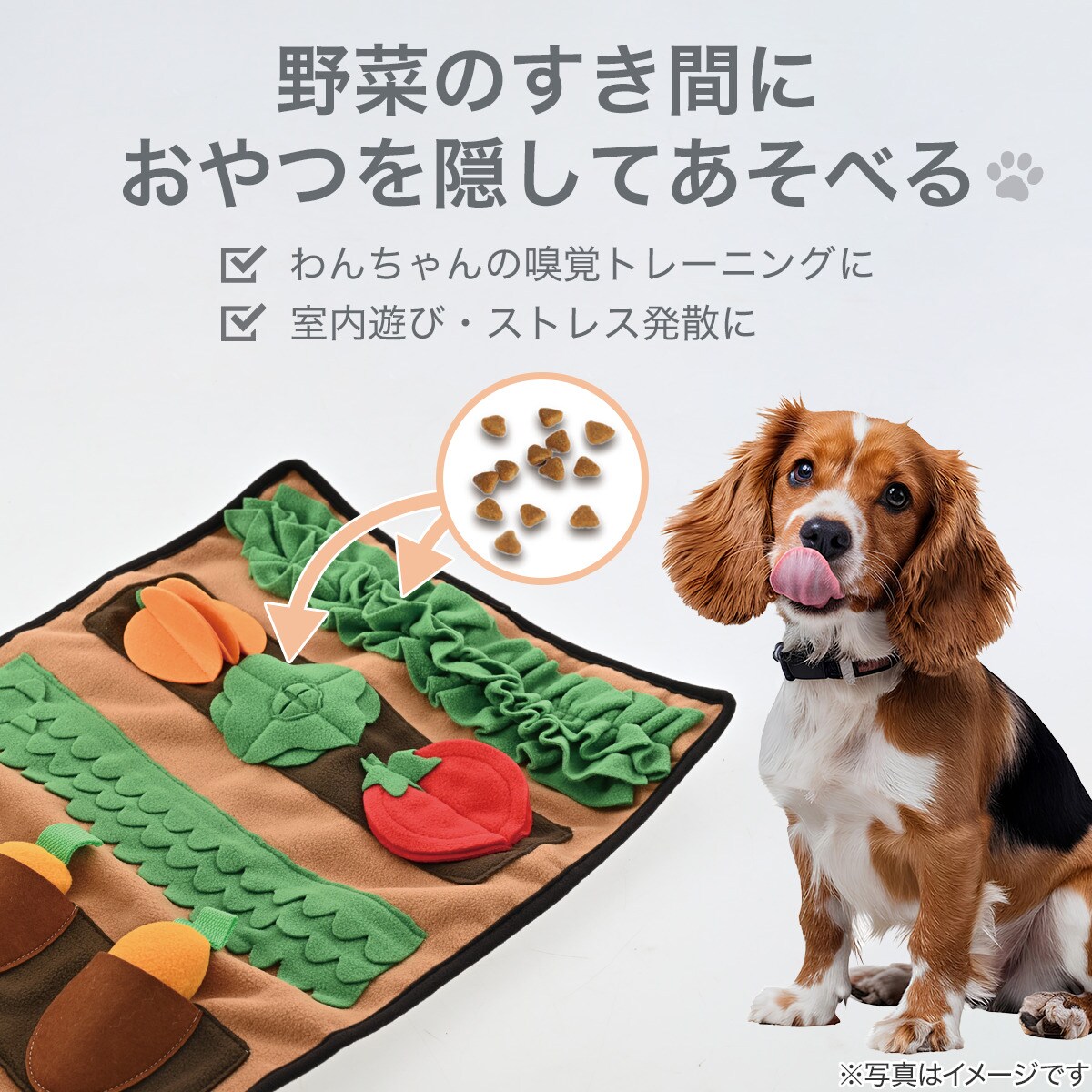 ノーズワークマット(畑)