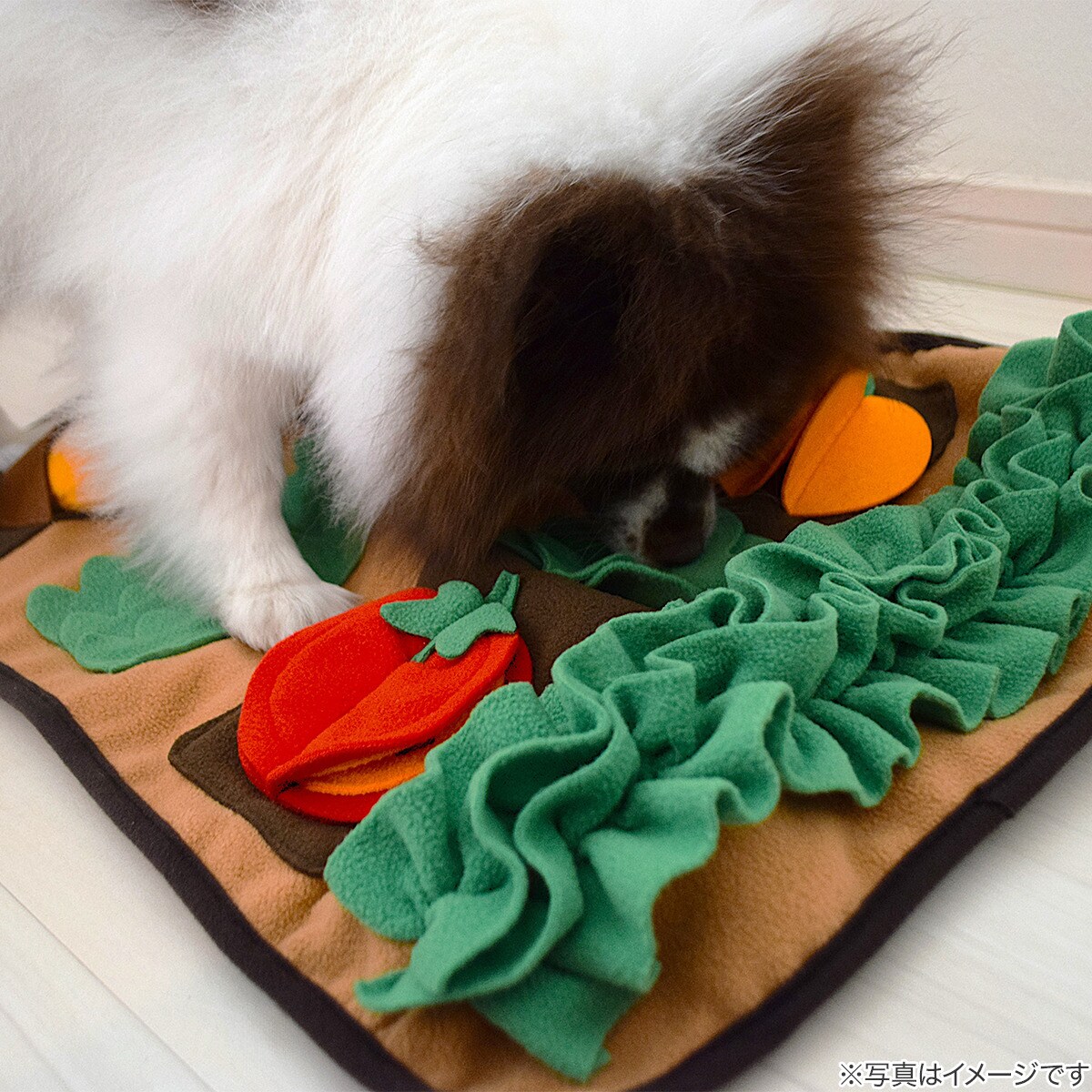 ノーズワークマット(畑)