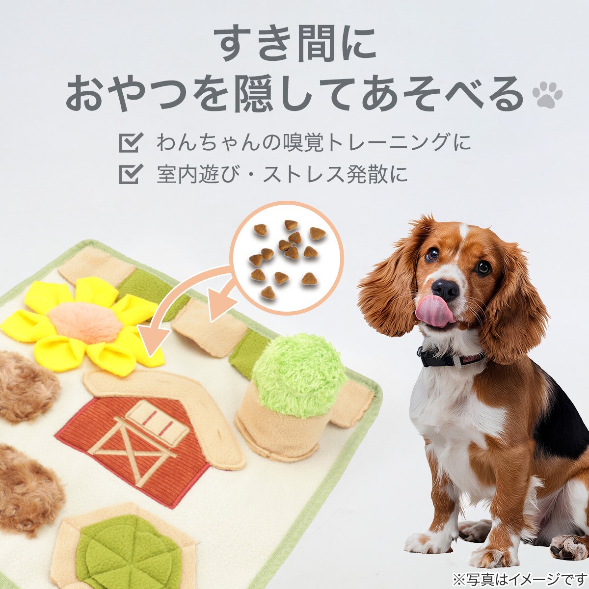 ノーズワークマット(家)