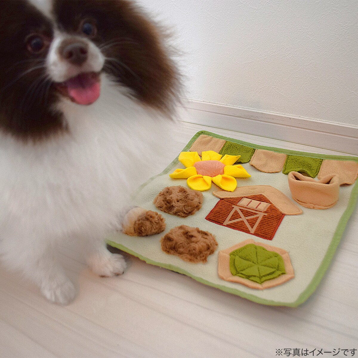 ノーズワークマット(家)