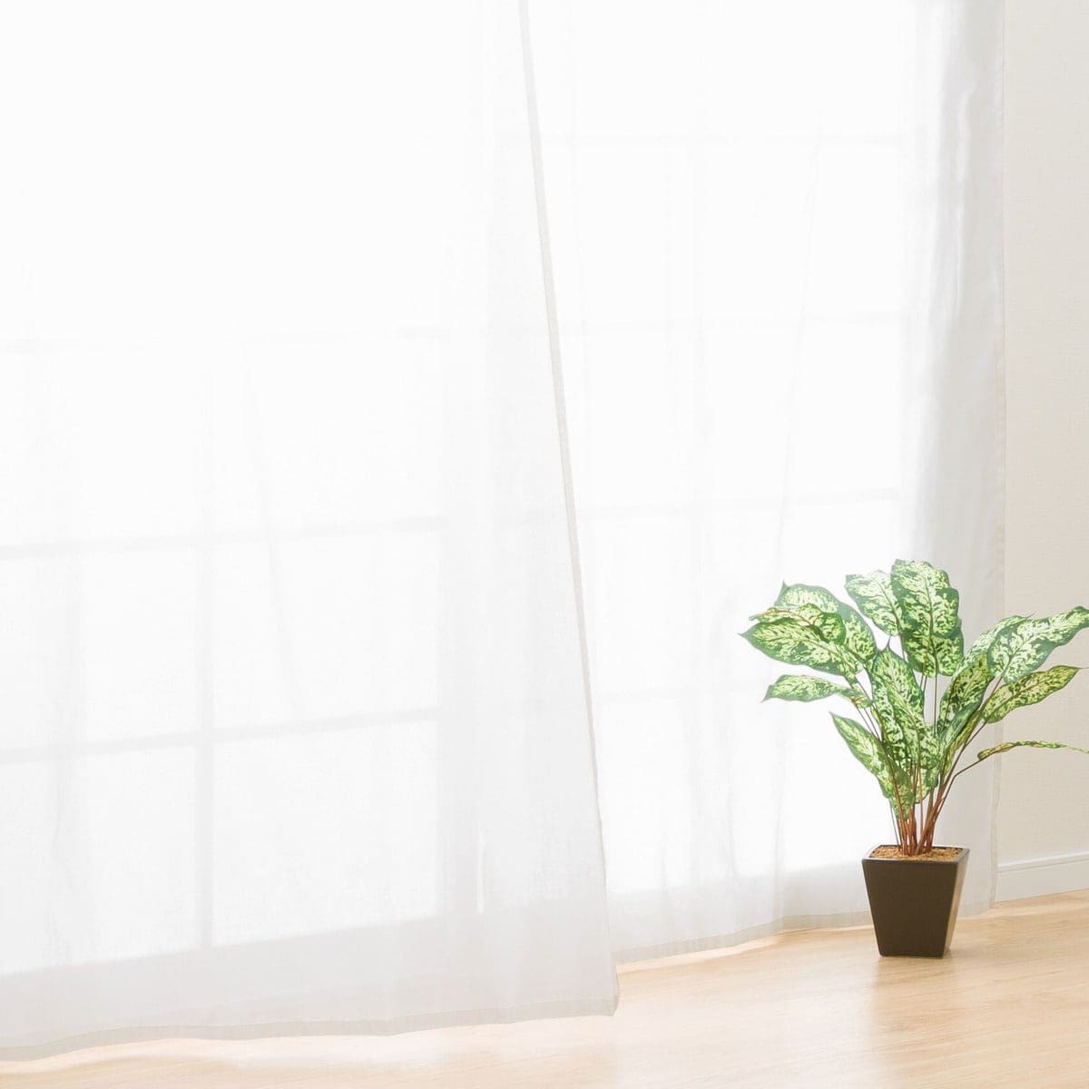 楽天市場】レースカーテン オーダー ニトリの通販