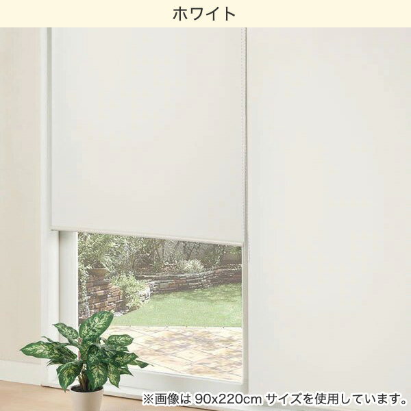 採光ロールスクリーン(アリエス 60X180)   【1年保証】