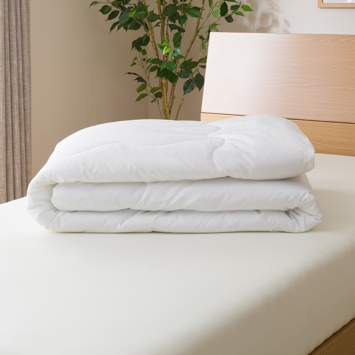 薄掛け布団 クイーン (ポリエステル NF Q) 薄掛けふとん 薄掛ふとん 薄掛布団