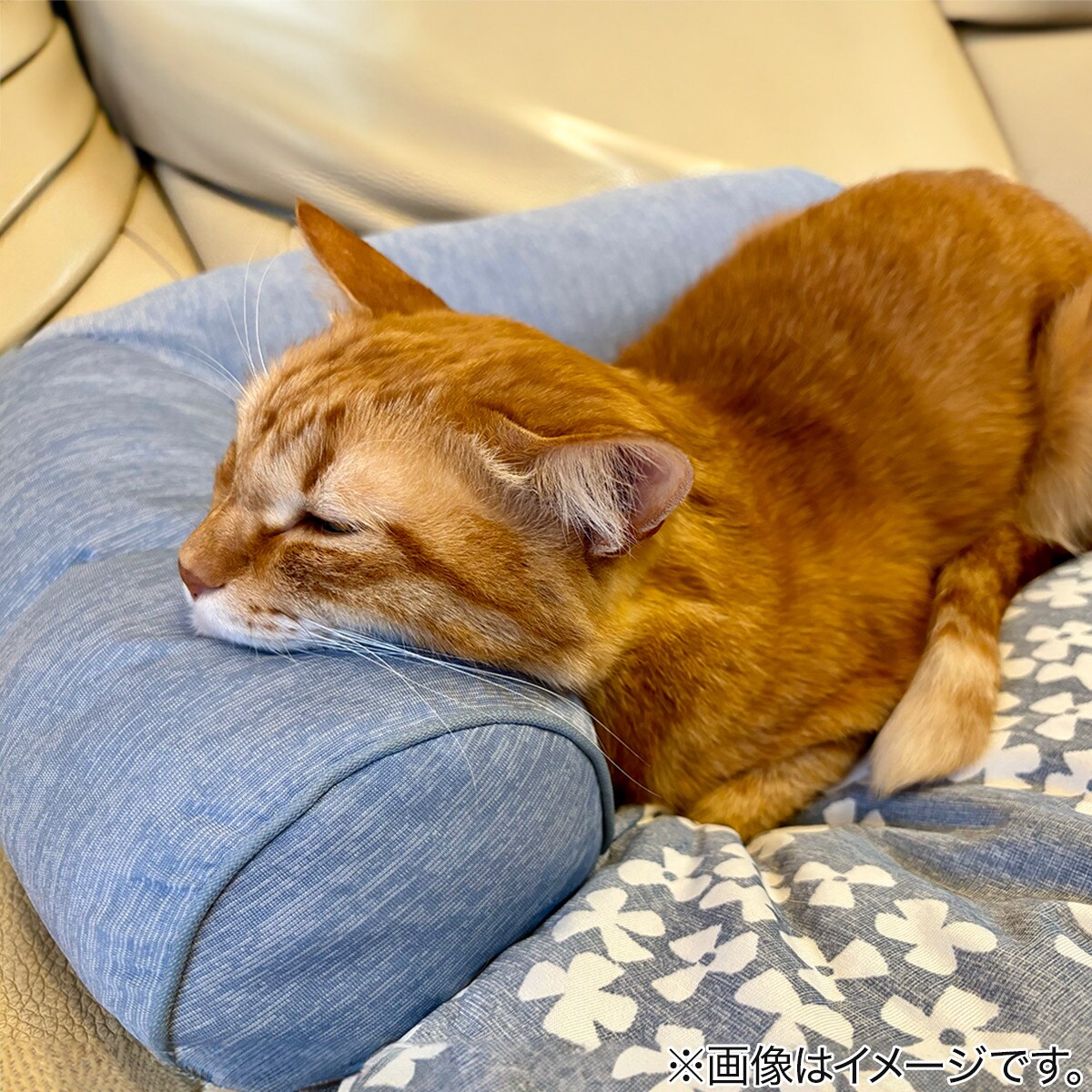 ペットごろ寝マット(Nクール S241)