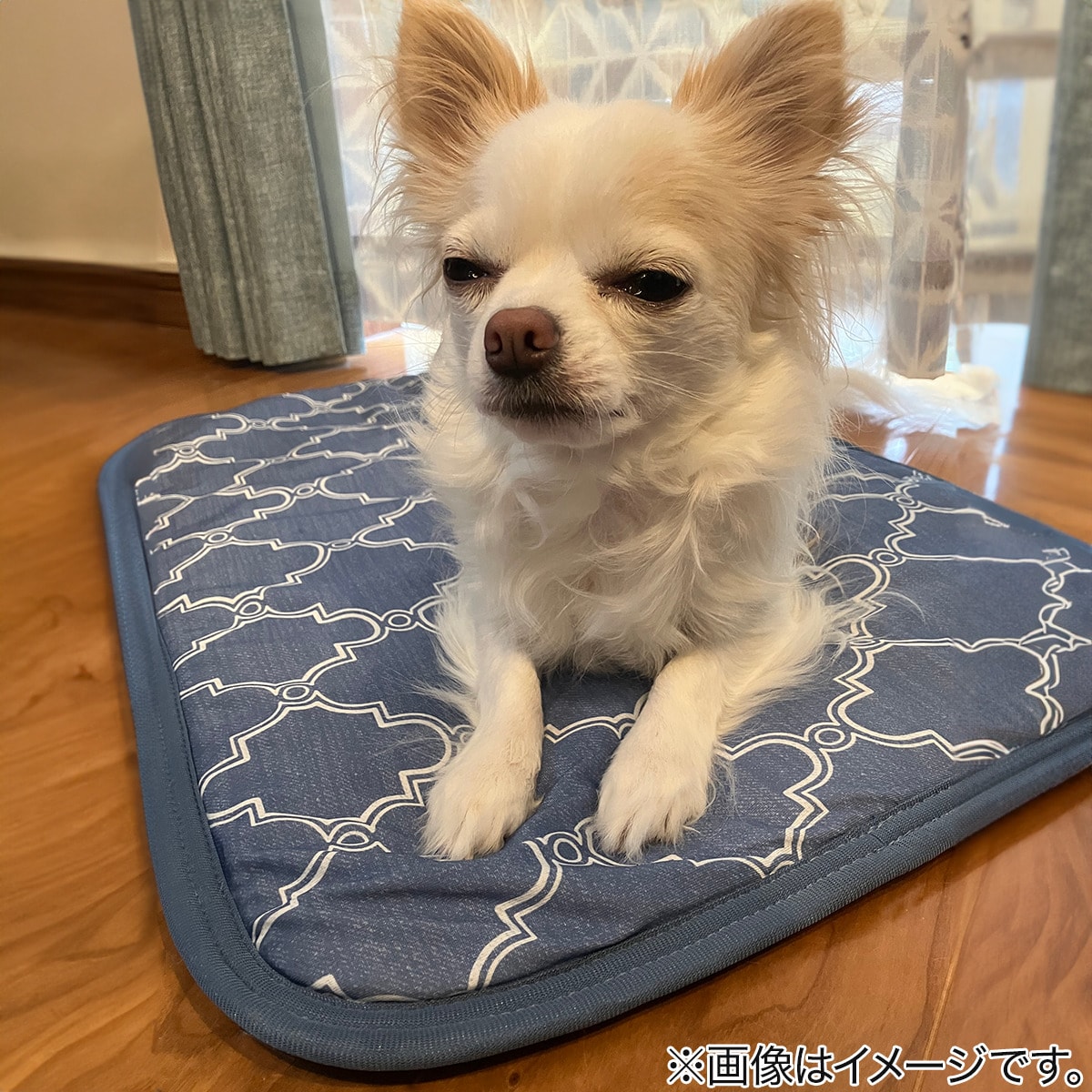 �ڥå��ߥѥå�(N������WSP S243)���˥ȥ� �ڸ�������Ǽ�ʡ�