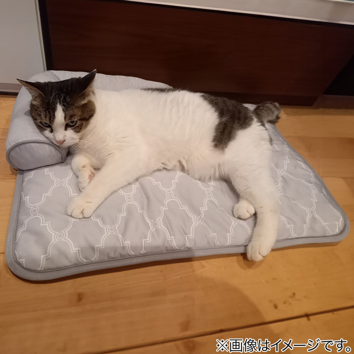 ペットごろ寝マット(NクールWSP S244)