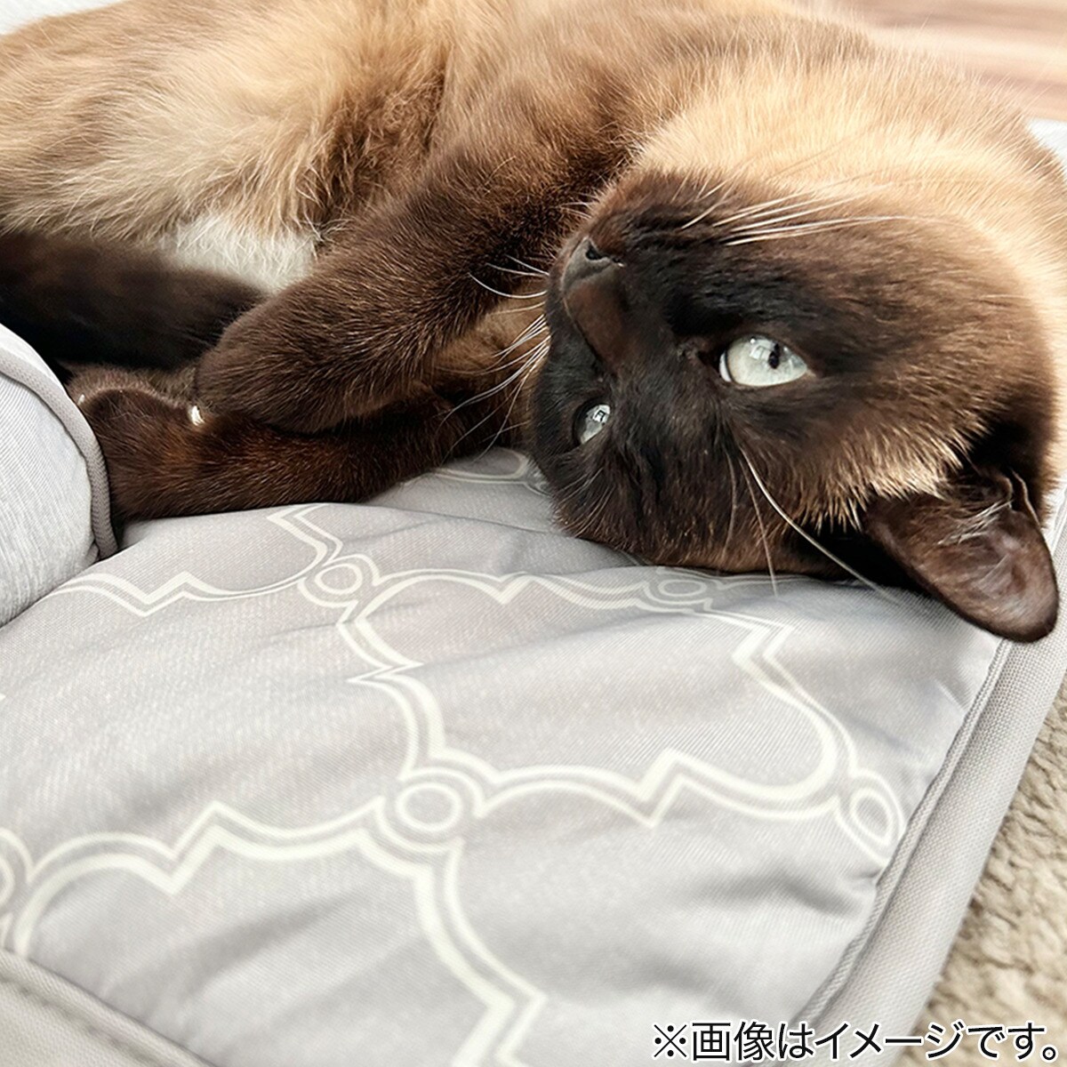 ペットごろ寝マット(NクールWSP S244)